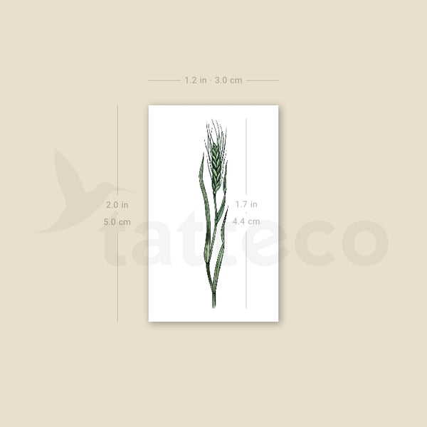 Small Green Wheat By Ann Lilya Temporary Tattoo - Set of 3