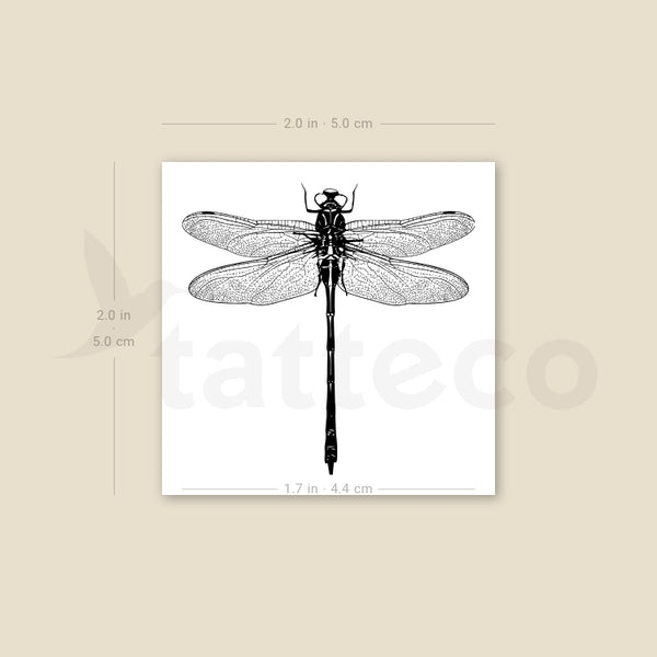 Illustrative Dragonfly Temporary Tattoo - Set of 3