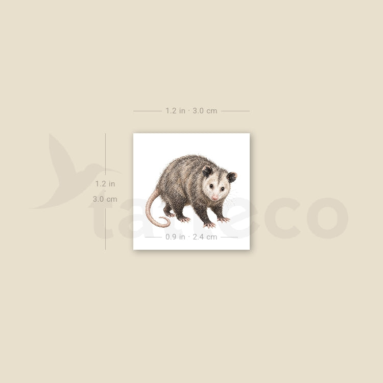 Opossum Temporary Tattoo - Set of 3