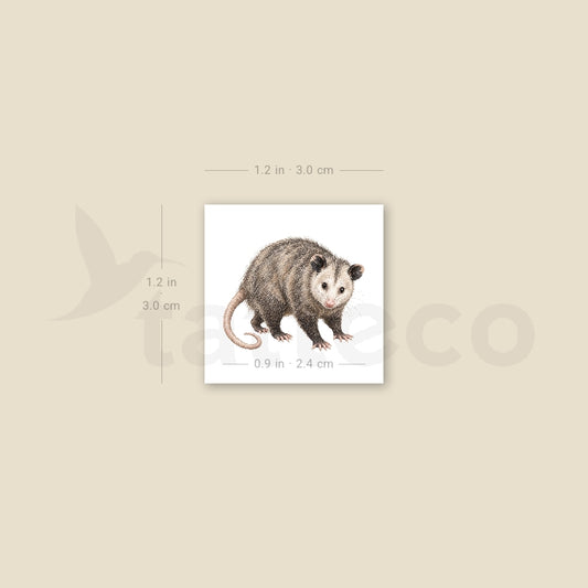 Opossum Temporary Tattoo - Set of 3