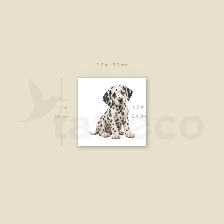 Dalmatian Puppy Temporary Tattoo - Set of 3