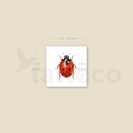 Watercolor Ladybug Temporary Tattoo - Set of 3