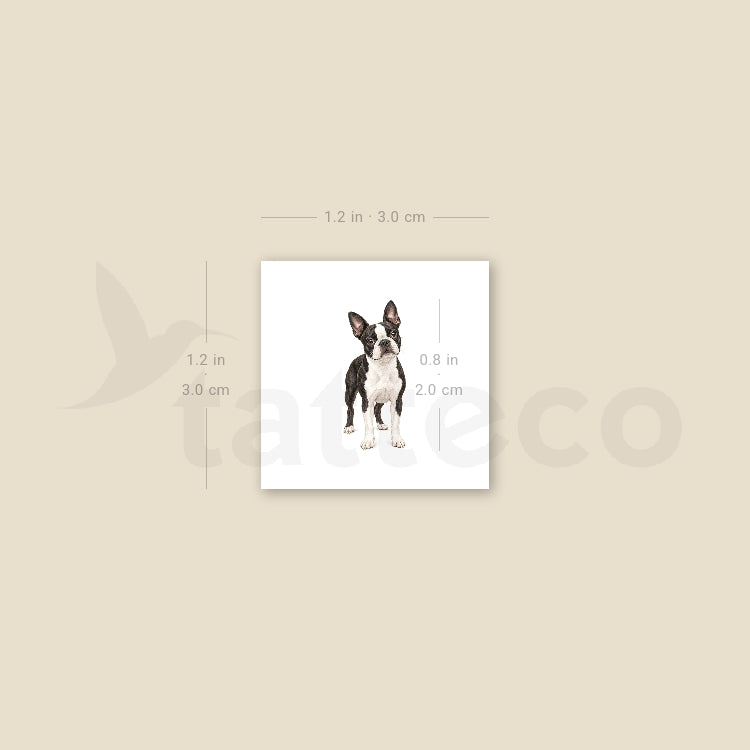 Realistic Boston Terrier Temporary Tattoo - Set of 3