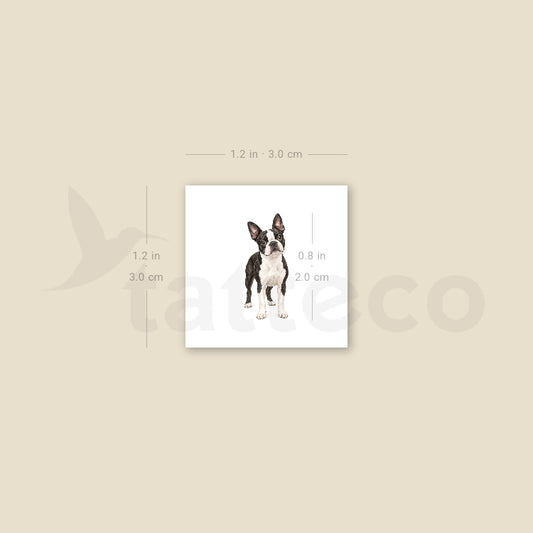 Realistic Boston Terrier Temporary Tattoo - Set of 3