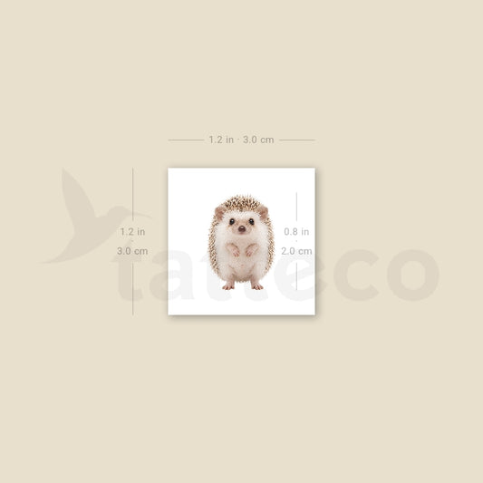 Baby Hedgehog Temporary Tattoo - Set of 3
