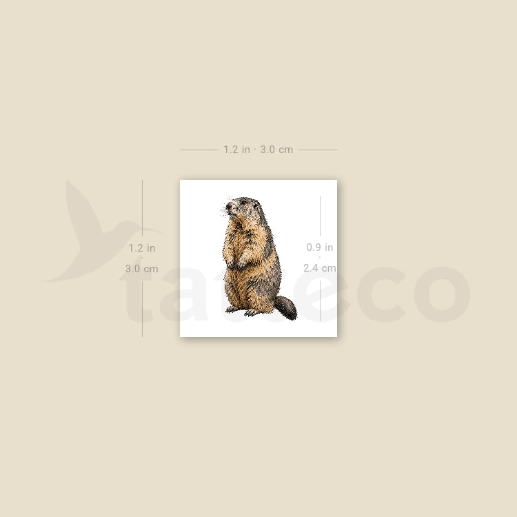 Watercolor Marmot Temporary Tattoo - Set of 3