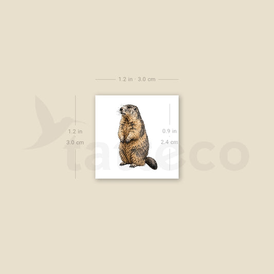 Watercolor Marmot Temporary Tattoo - Set of 3