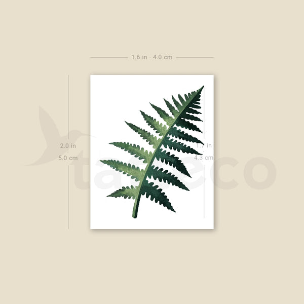 Small Fern Frond By Ann Lilya Temporary Tattoo - Set of 3