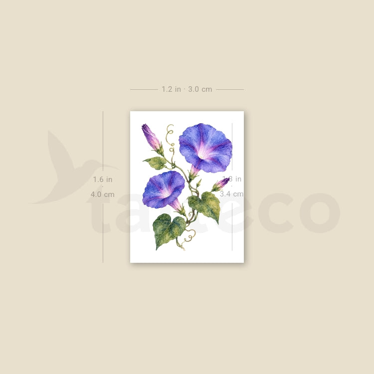 Morning Glory Temporary Tattoo - Set of 3