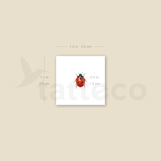 Watercolor Ladybug Temporary Tattoo - Set of 3