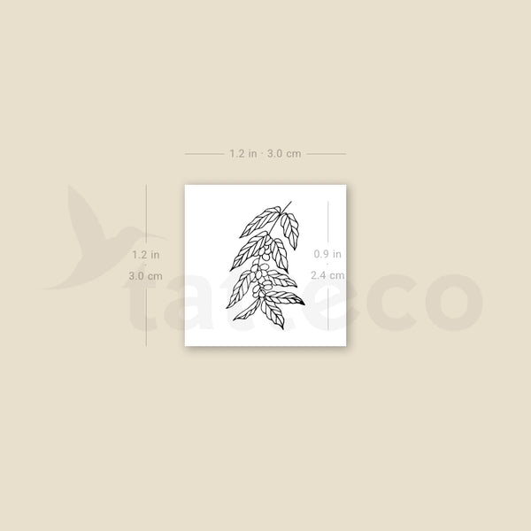 Coffea Plant Temporary Tattoo - Set of 3