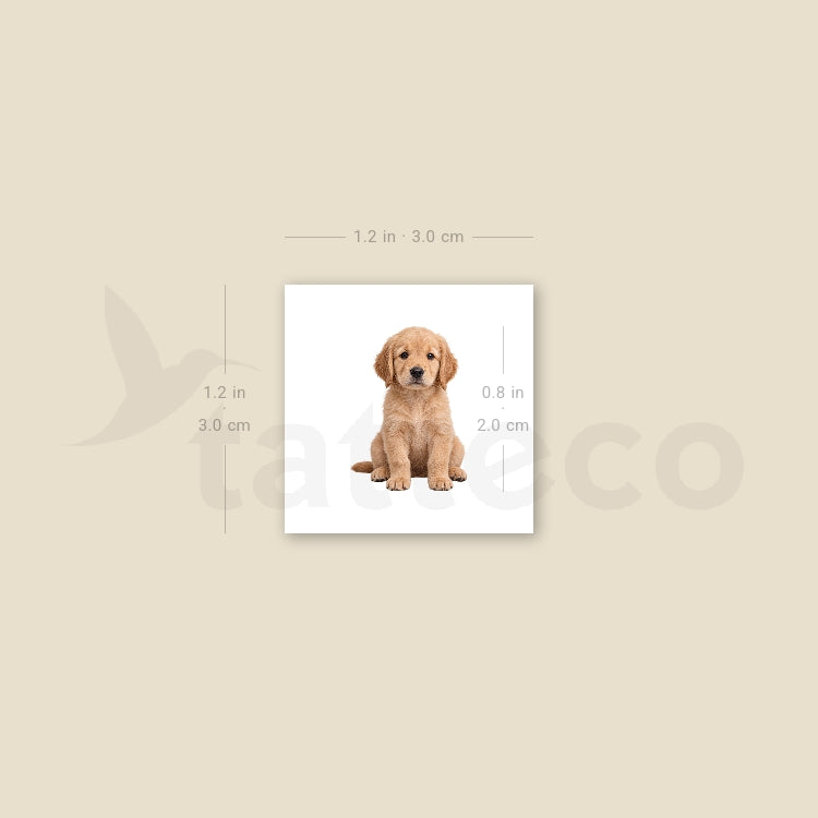 Seated Golden Retriever Puppy Temporary Tattoo - Set of 3