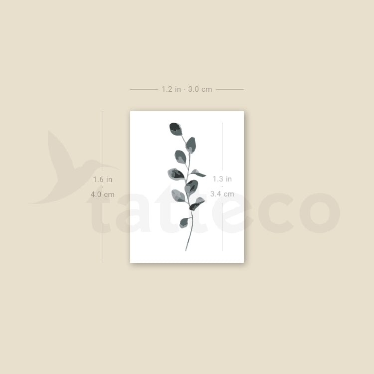 Eucalyptus Temporary Tattoo - Set of 3