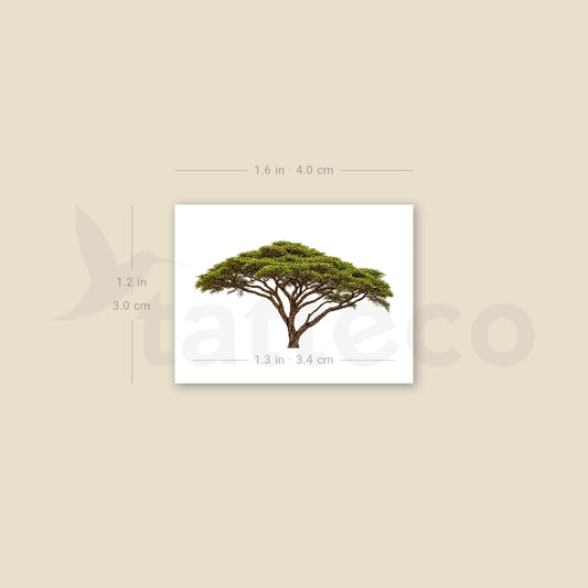 Acacia Temporary Tattoo - Set of 3