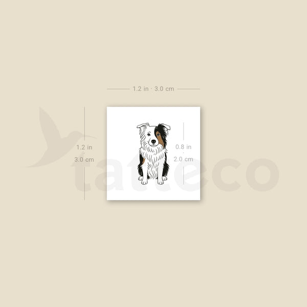 Border Collie Temporary Tattoo - Set of 3