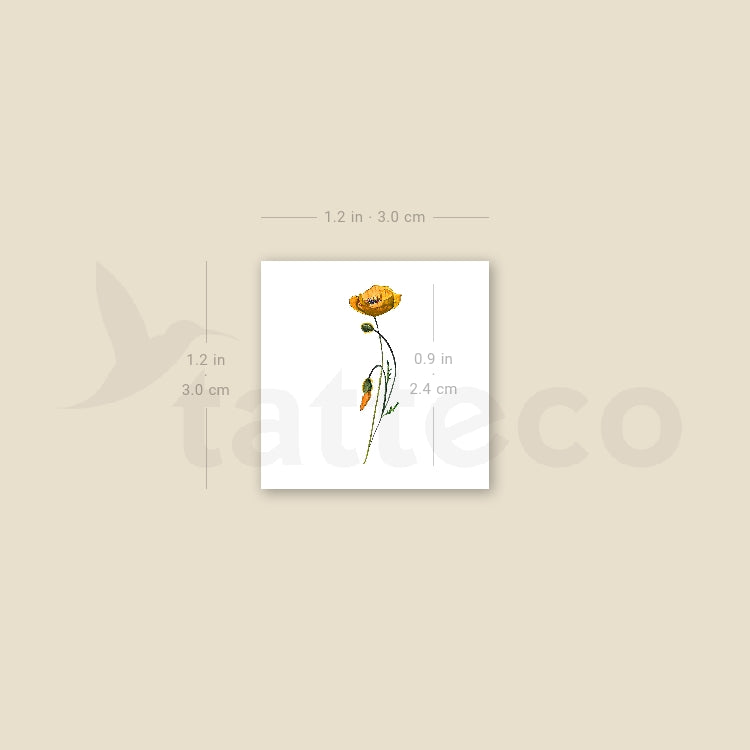 Small California Poppy By Lena Fedchenko Temporary Tattoo - Set of 3