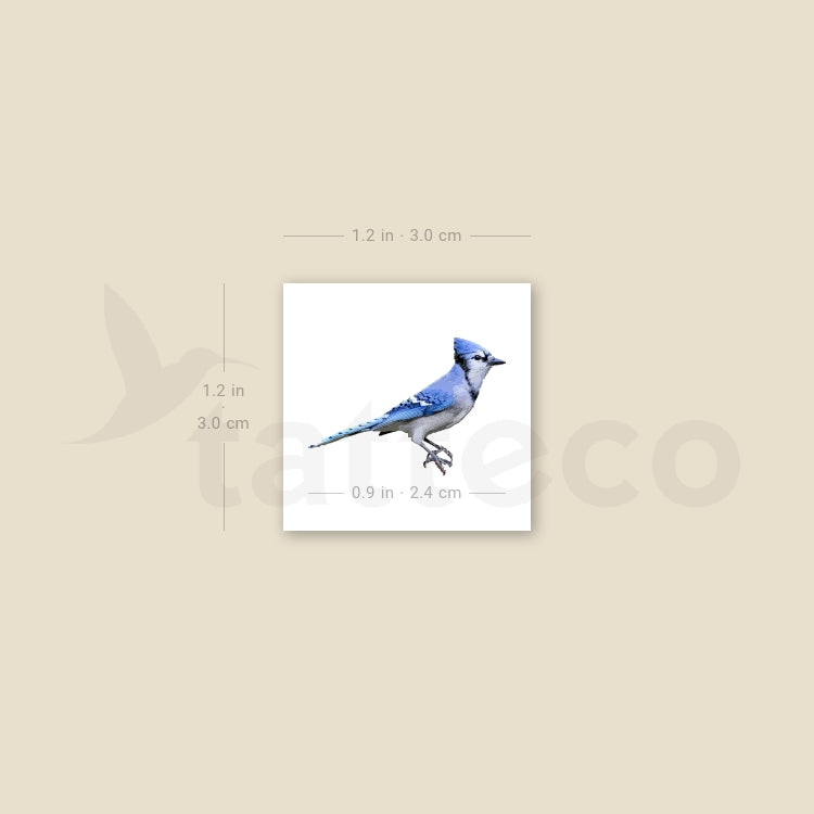 Blue Jay Temporary Tattoo - Set of 3