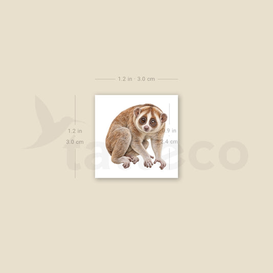 Slow Loris Temporary Tattoo - Set of 3