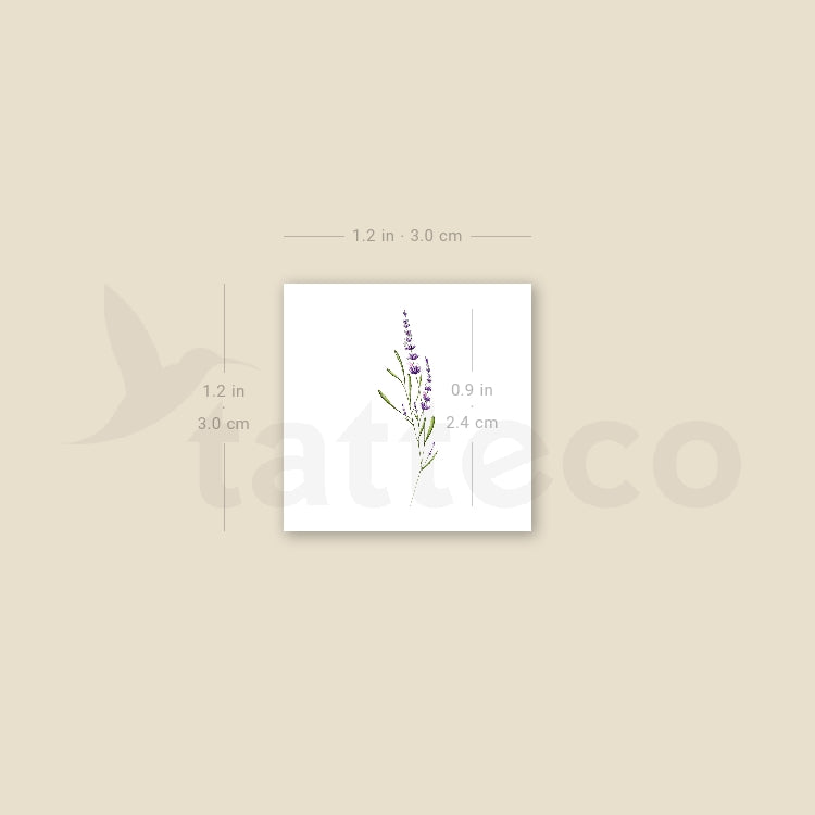 Small Lavender By Mini Lau Temporary Tattoo - Set of 3