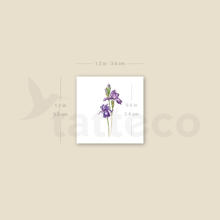Small Iris By Mini Lau Temporary Tattoo - Set of 3