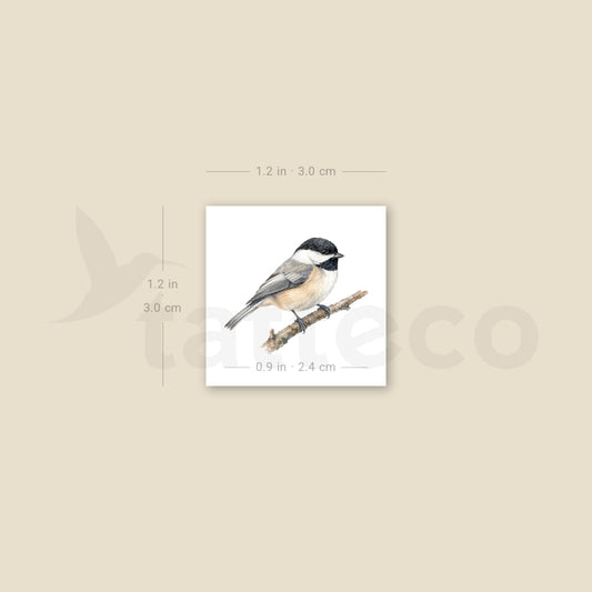 Black-capped Chickadee Temporary Tattoo - Set of 3