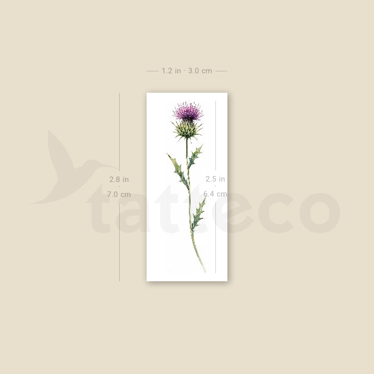 Watercolor Thistle Temporary Tattoo - Set of 3