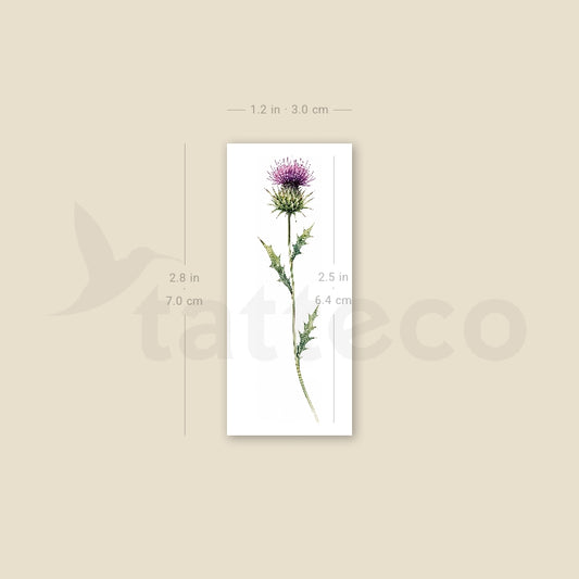 Watercolor Thistle Temporary Tattoo - Set of 3