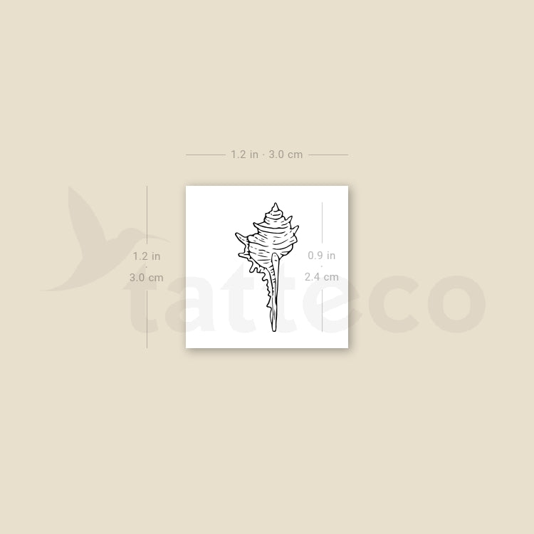 Tulip Shell Temporary Tattoo - Set of 3