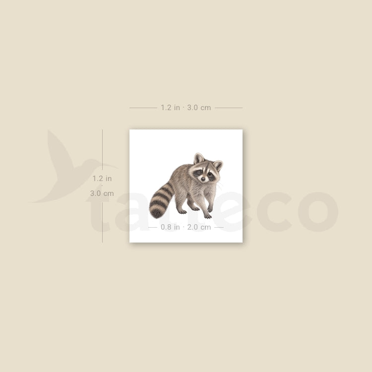 Raccoon Temporary Tattoo - Set of 3