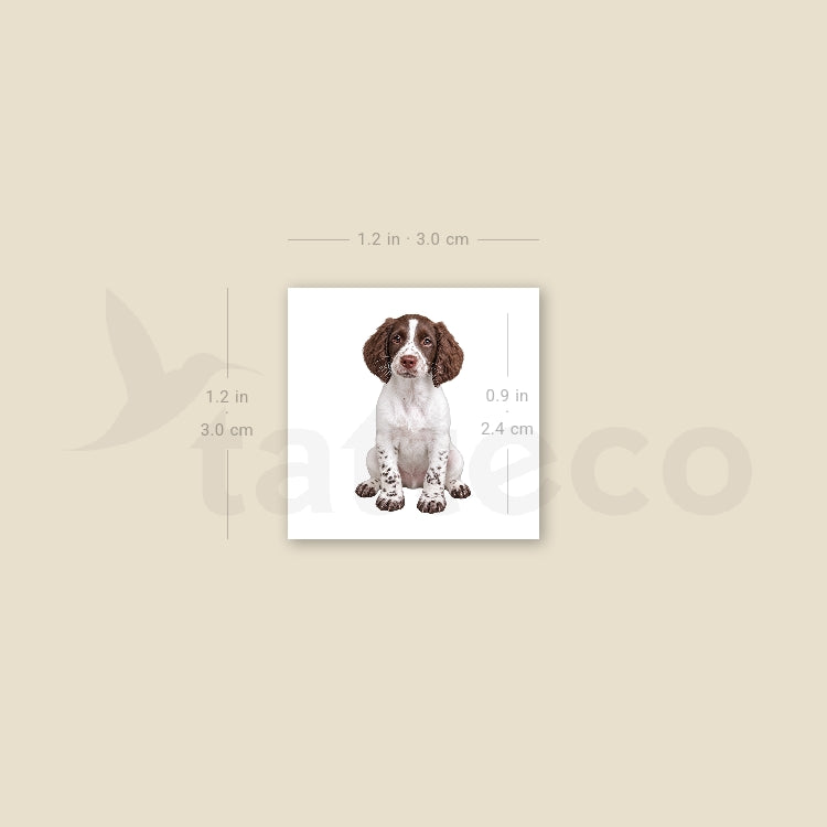 English Springer Spaniel Puppy Temporary Tattoo - Set of 3