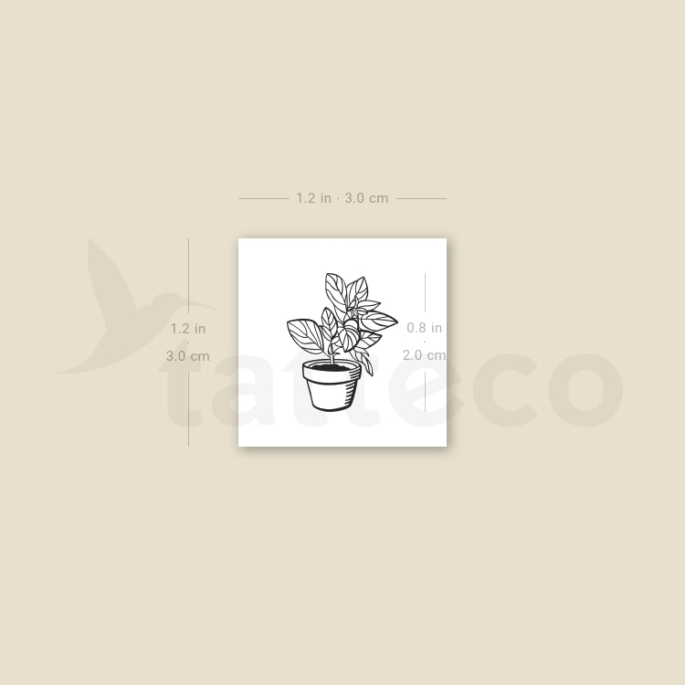 House Plant Temporary Tattoo - Set of 3