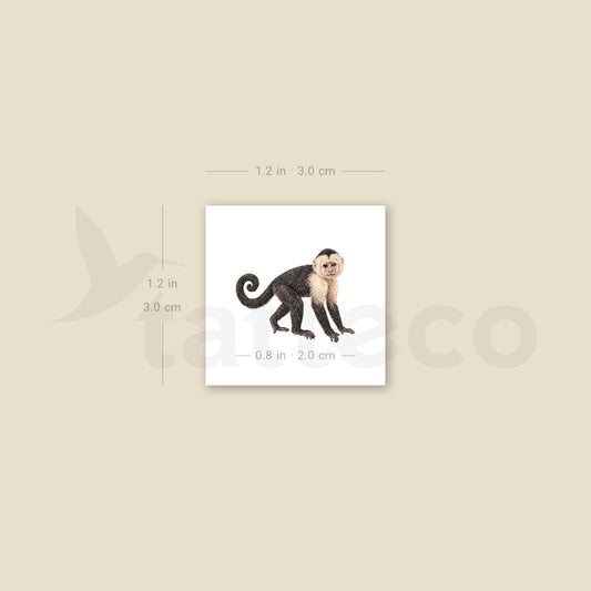 Capuchin Monkey Temporary Tattoo - Set of 3