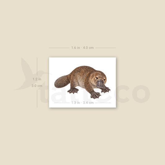 Platypus Temporary Tattoo - Set of 3
