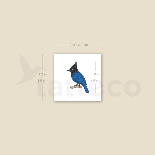 Steller's Jay Temporary Tattoo - Set of 3
