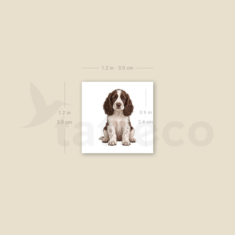 Springer Spaniel Puppy Temporary Tattoo - Set of 3