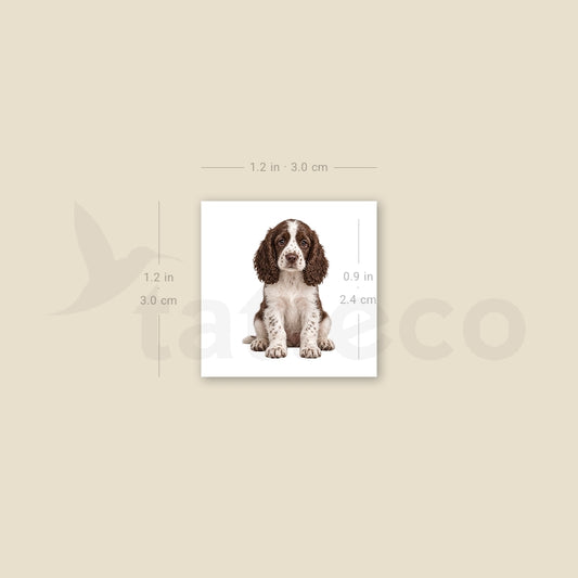 Springer Spaniel Puppy Temporary Tattoo - Set of 3