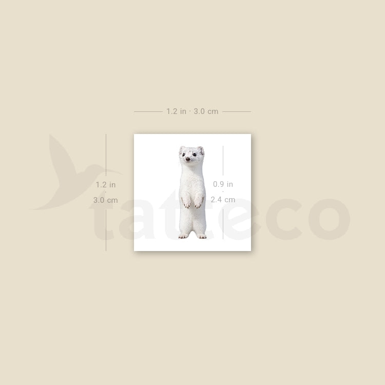 White Stoat Temporary Tattoo - Set of 3
