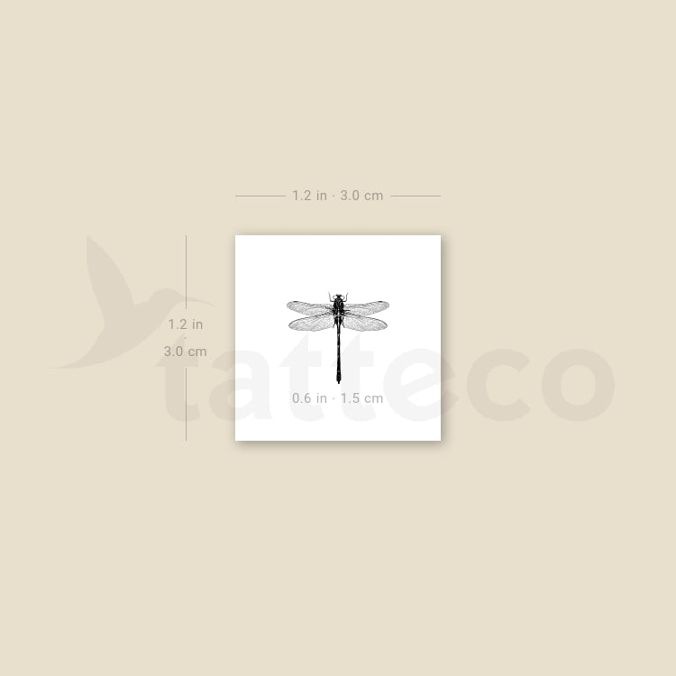 Little Dragonfly Temporary Tattoo - Set of 3