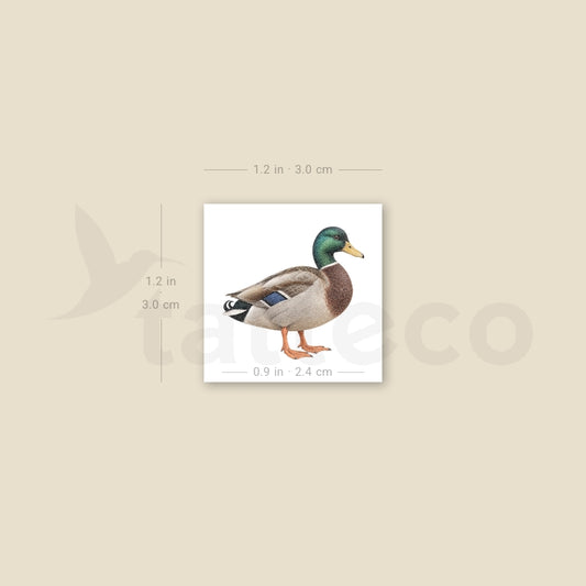Mallard Temporary Tattoo - Set of 3