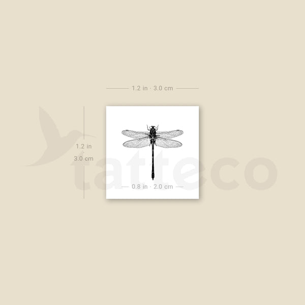 Little Illustrative Dragonfly Temporary Tattoo - Set of 3