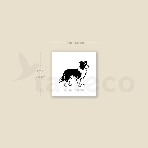 Black And White Border Collie Temporary Tattoo - Set of 3