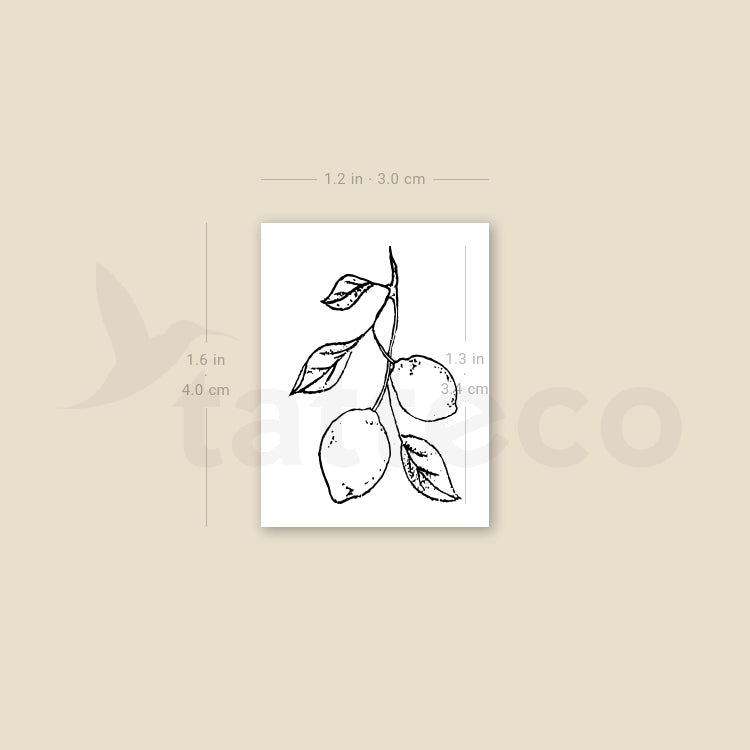 Lemon Branch Temporary Tattoo - Set of 3