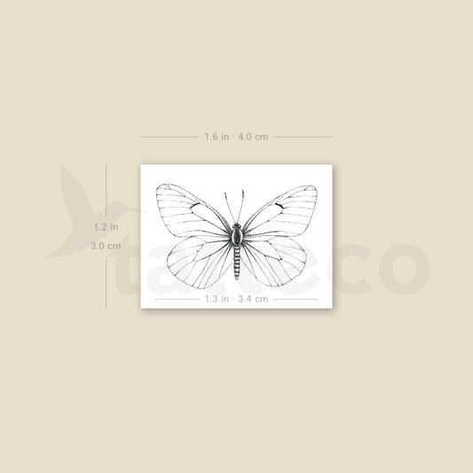 Aporia Crataegi Butterfly Temporary Tattoo - Set of 3
