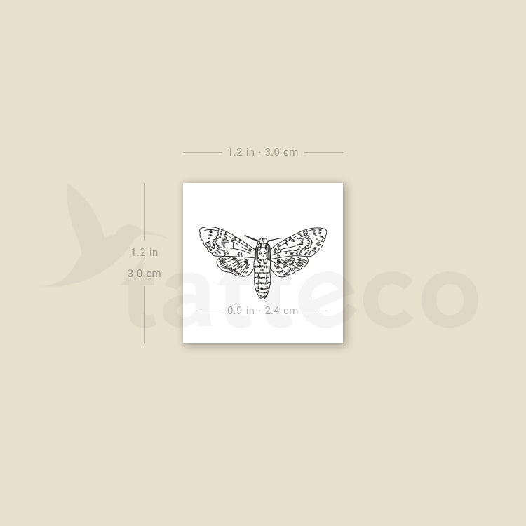 Small Moth Temporary Tattoo - Set of 3