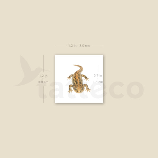 Salamander Temporary Tattoo - Set of 3