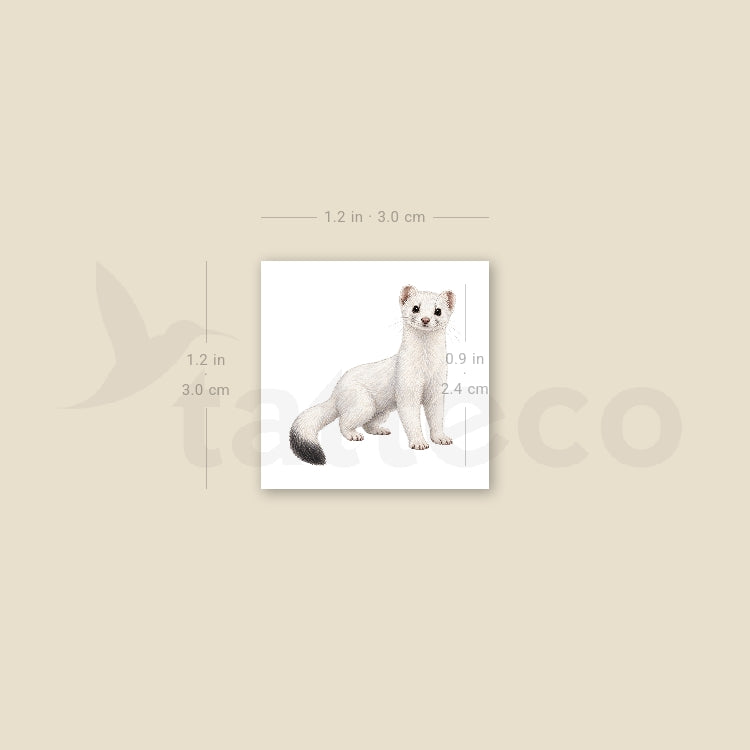 White Weasel Temporary Tattoo - Set of 3