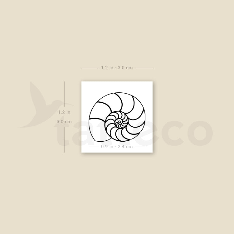 Ammonite Shell Temporary Tattoo - Set of 3