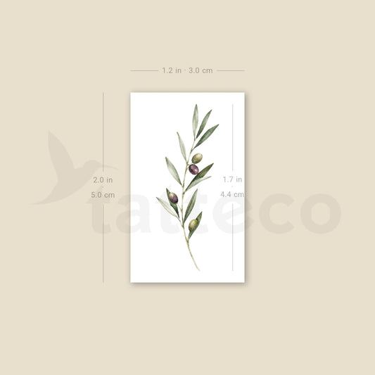 Watercolor Olive Branch Temporary Tattoo - Set of 3