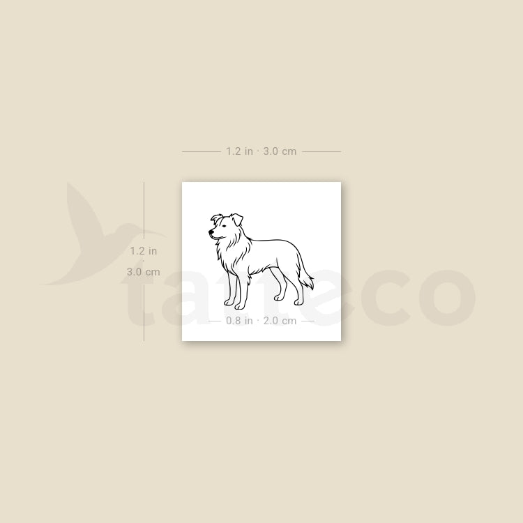Minimalist Border Collie Temporary Tattoo - Set of 3