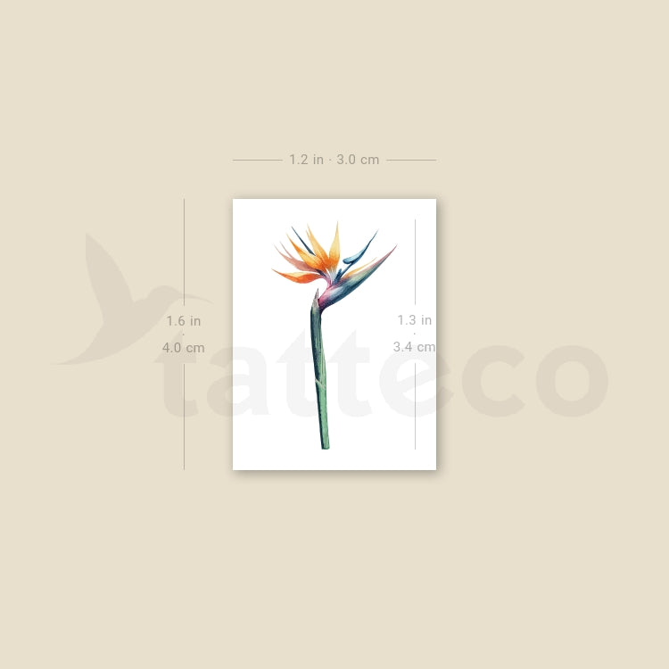Small Watercolor Strelitzia Temporary Tattoo